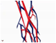 Descripción: ::tiffs:TIFFS PER A EXAMEN:pantallazos:baix dpi:detall-arteries-venes-braç.jpg
