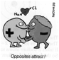 Descripcin: Naclove