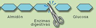 ::Desktop:pa tirar:Tijeras.gif