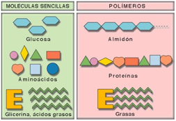 ::Desktop:pa tirar:moleculas.jpg